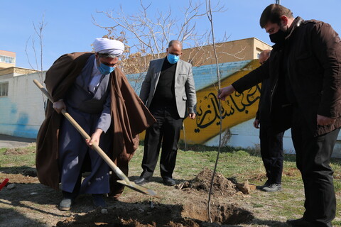 تصاویر / غرس درخت توسط ائمه جمعه تبریز و زنجان در مدرسه علمیه امیرالمومنین(ره)تبریز