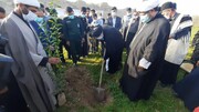 آغاز مرحله نخست کاشت ۲۰ هزار نهال مثمر در لالی خوزستان