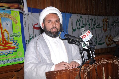 علامہ شیخ ذوالفقار علی انصاری