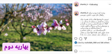 تنها راه رسیدن به آرامش، فهم دو مفهوم توحید و معاد است