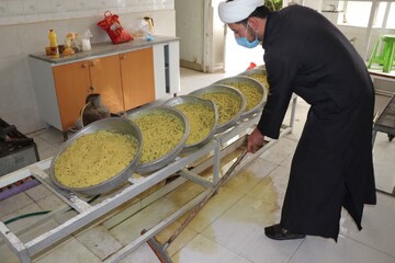 تصاویر/ طبخ و توزیع ۳۱۳ پرس غذای گرم به مناسبت سالروز ولادت حضرت صاحب الزمان(ع)