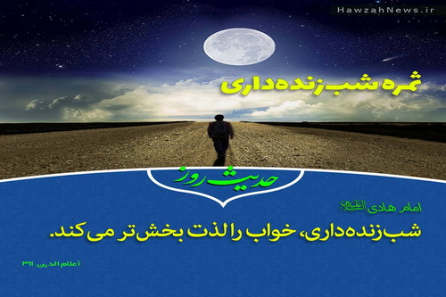 عکس نوشت | ثمره شب‌زنده‌داری