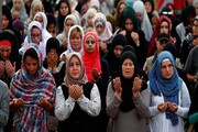 دراسة تظهر تصاعدا ملحوظا بعدد المسلمين في ألمانيا