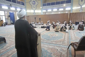 آقایان با ارز ۴۲۰۰ تومانی خاک برای خوابیدن گربه وارد کرده اند/ چه کسی باید به این نابسامانی ها سروسامان دهد؟