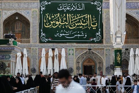 جشن ولادت امام رضا (ع) در حرم حضرت امیرالمومنین (علیه السلام)