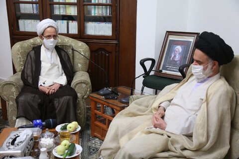 دیدار رئیس موسسه آموزشی و پژوهشی امام خمینی(ره) با آیت الله حسینی بوشهری