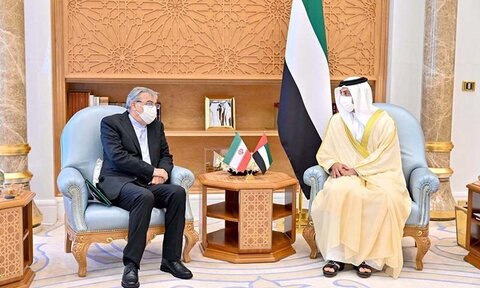 امارات کے نائب وزیر اعظم اور ایرانی سفیر کی ملاقات