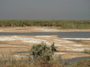 آب کرخه را فقط یک روز باز کردند! / تمام نهرهای منتهی به هور العظیم خشک شده‌اند