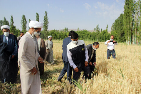 تصاویر/ آیین خداقوت کشاورز با حضور اعضای شورای زکات خراسان شمالی