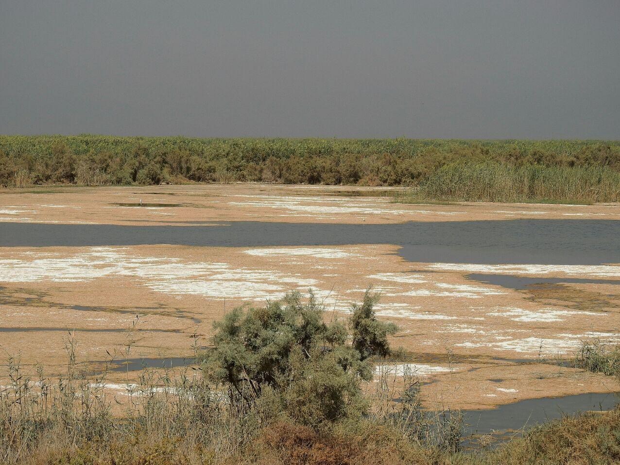 کمک نقدی سازمان هدفمندی برای جبران کم آبی خوزستان