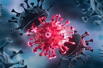 زنگ خطر ابتلا به کرونا برای افراد چاق