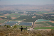 ارتش اسرائیل از حمله راکتی لبنان به سرزمین های اشغالی خبر داد