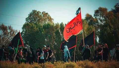 تصاویر/ سفر عشق؛ بصرہ سے کربلا کی جانب عاشقان امام حسین (ع) کا سفر جاری