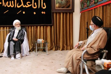 تقدیر آیت الله العظمی نوری همدانی از ایثارگری های سربازان گمنام امام زمان(عج)