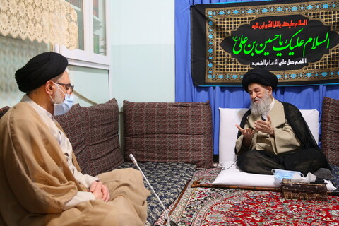 تصاویر / دیدار وزیر اطلاعات با آیت الله العظمی علوی گرگانی