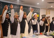 تصاویر/ اسلام آباد میں متحدہ جمعیت اہلحدیث کی جانب سے پیغام پاکستان کانفرنس