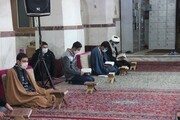 جشنواره قرآن ویژه خانواده طلاب قزوین برگزار می شود