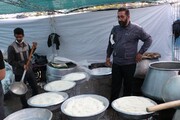 بیش از ۹۰۰۰ پرس غذای گرم میان زائرین بین الحرمین شیراز توزیع شد