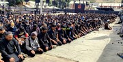 تصاویر/ کرگل میں مذہبی عقیدت کے ساتھ اربعین حسینی میں منایا گیا     