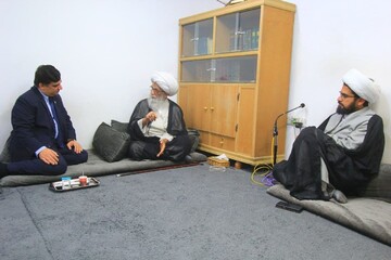 آیت‌الله بشیر نجفی بر اهمیت تقویت روابط عراق و پاکستان تأکید کردند