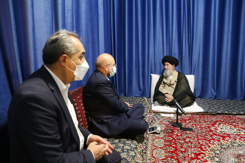 دیدار رئیس مجلس شورای اسلامی با حضرت آیت الله علوی گرگانی