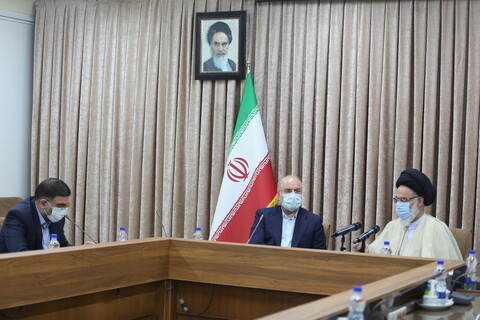 تصاویر / دیدار رئیس مجلس شورای اسلامی با آیت الله حسینی بوشهری