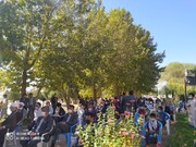 دانشگاه آزاد اسلامی یاسوج میزبان جشن بزرگ ۱۷ ربیع الاول