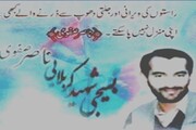 شہیدِ گمنام۔۔۔ناصر علی صفوی