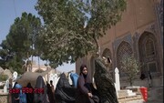 চাকরী ছেড়ে দিনমজুরী করছেন আফগান নারীরা