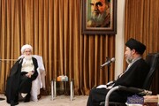 हकीम परिवार की भूमिका सद्दाम के शासन में इस्लाम की रक्षा में प्रमुख हैः आयतुल्लाह नूरी हमदानी