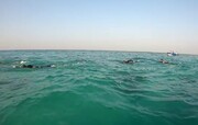 فیلم | شنای نخبگان ورزشی حوزه علمیه قم در تقدیر از نیروی دریایی سپاه