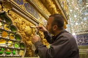 تصاویر/ روضہ مبارک حضرت عباس (ع) کی ضریح مبارک کی تنظیف و تعطیر