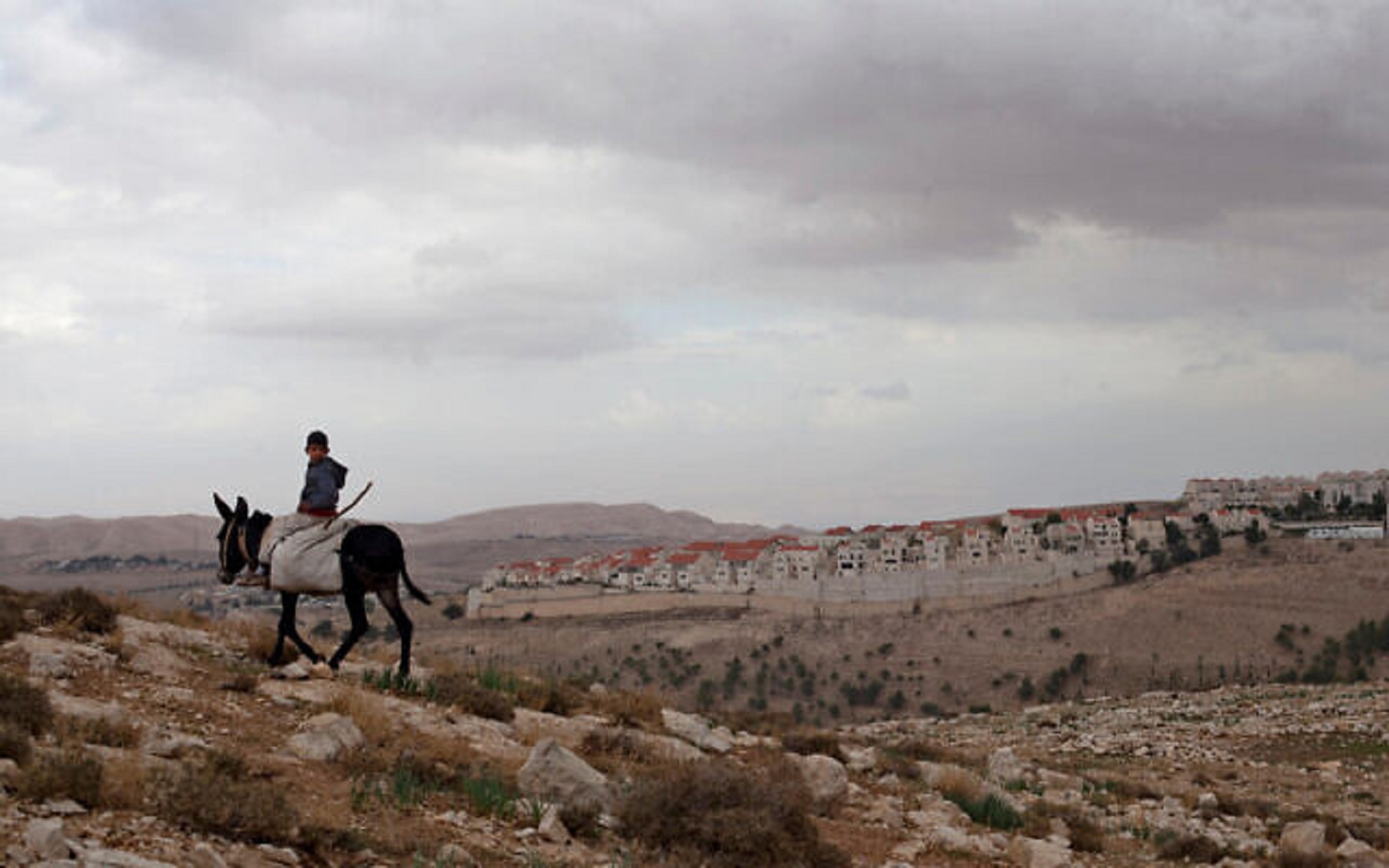 US Lawmakers Urge Blinken to Prevent Israeli Settlements in E1 Area