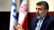 Iran Warned IAEA over Improper Behavior Several Times