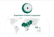 OIC Condemns Israeli Policy of Field Execution