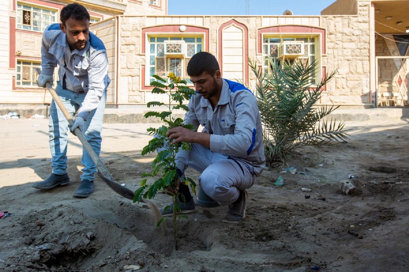 The al-Abbas's (p) Holy Shrine launches an extensive campaign to plant trees