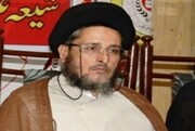 سید المرسلین کے روضہ اقدس پر نعرے بازی کی مذمت کرتے ہیں، علامہ سبطین سبزواری