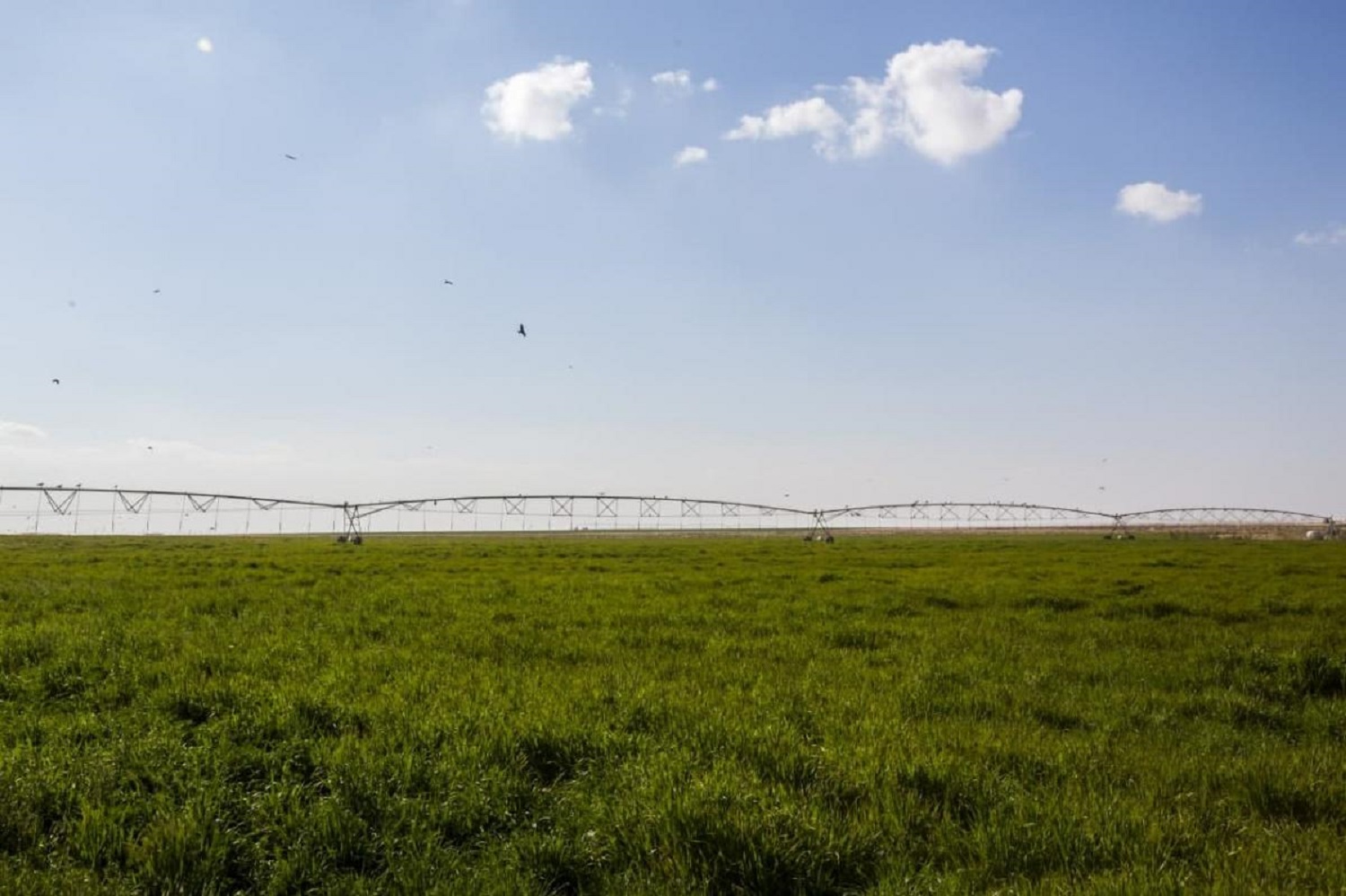 Anwar Al-Saqi is a strategic agricultural activity of the al-Abbas's (p) Holy Shrine