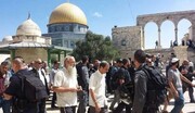 Dozens of Zionist Settlers Storm Al-Aqsa Mosque
