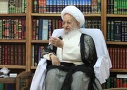 Achievements of Shia scholars should be included in school books