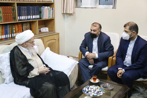 تصاویر / دیدار وزیر امور خارجه با آیت الله العظمی صافی گلپایگانی