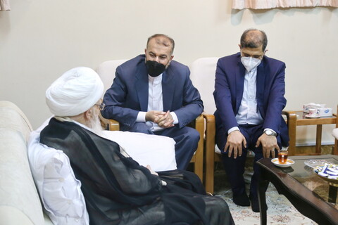 تصاویر / دیدار وزیر امور خارجه با آیت الله العظمی صافی گلپایگانی