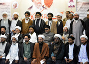 تصاویر/ کراچی میں شیعہ علماء کونسل کے تحت عظمت علماء و ذاکرین کانفرنس