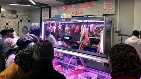 halal slaughter