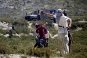 Settler violence is sponsored by Israeli state