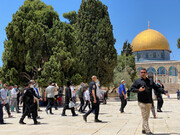PM, Islamic-Christian group condemn Israeli plans