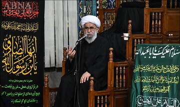 هیچ قانونی در اسلام برخلاف عقل و فطرت نیست/ شیخ عبداللهی ناصر در تبلیغ مکتب اهل بیت(ع) دغدغه داشت