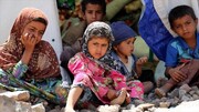 Hunger-stricken Yemenis eat tree leaves to survive