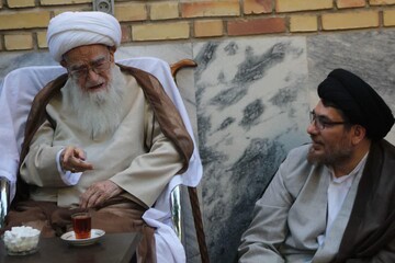 آیت‌الله صافی از استوانه‌های سترگ علمی، معنوی و انقلابی حوزه‌ بودند