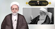 آیۃ اللہ العظمی صافی گلپائیگانی اسلامی انقلاب و اسلامی نظام کے پشت پناہ اور حامی تھے